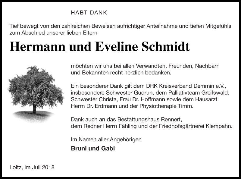 Traueranzeigen Von Eveline Schmidt Trauer Nordkurier