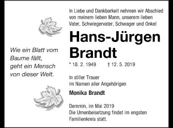 Traueranzeige von Hans-Jürgen Brandt von Demminer Zeitung