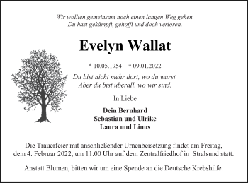 Traueranzeigen Von Evelyn Wallat Trauer Nordkurier