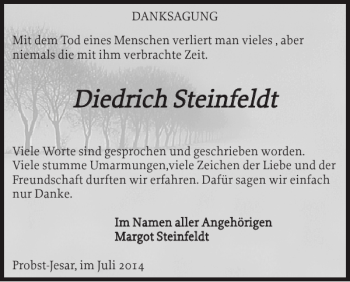 Traueranzeige von Diedrich Steinfeldt von Hagenower Kreisblatt