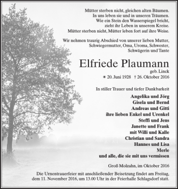 Traueranzeige von Elfriede Plaumann von Gadebusch-Rehnaer Zeitung