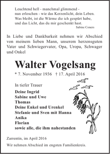 Traueranzeige von Walter Vogelsang von Hagenower Kreisblatt