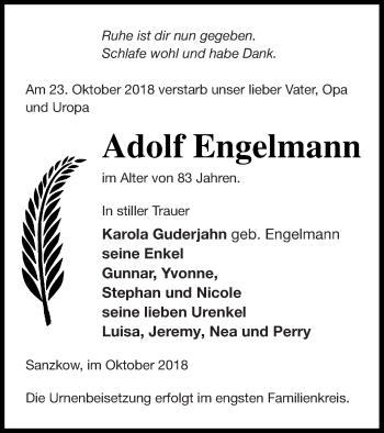 Traueranzeige von Adolf Engelmann von Demminer Zeitung