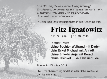 Traueranzeige von Fritz Ignatowitz von Neubrandenburger Zeitung