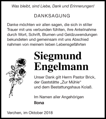 Traueranzeige von Siegmund Engelmann von Demminer Zeitung