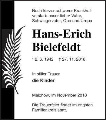 Traueranzeige von Hans-Erich Bielefeldt von Müritz-Zeitung