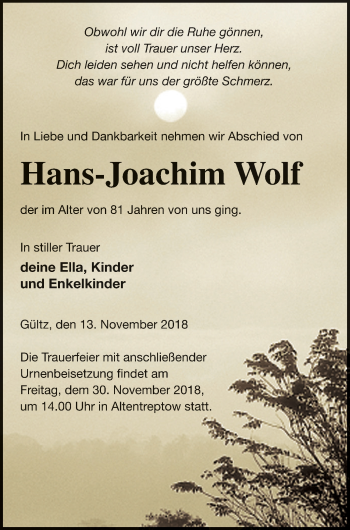 Traueranzeige von Hans-Joachim Wolf von Neubrandenburger Zeitung