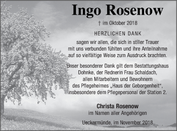Traueranzeige von Ingo Rosenow von Haff-Zeitung
