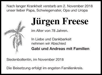 Traueranzeige von Jürgen Freese von Neubrandenburger Zeitung