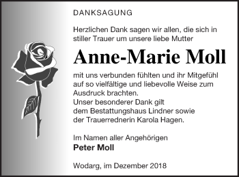 Traueranzeige von Anne-Marie Moll von Neubrandenburger Zeitung