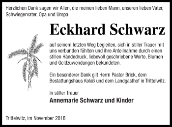 Traueranzeige von Eckhard Schwarz von Demminer Zeitung