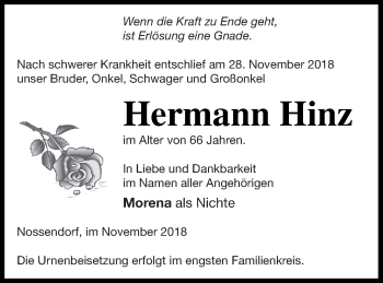 Traueranzeige von Hermann Hinz von Demminer Zeitung