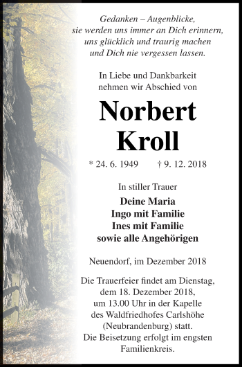 Traueranzeige von Norbert Kroll von Neubrandenburger Zeitung