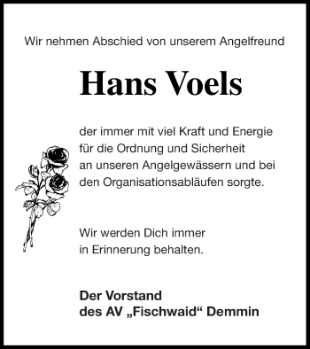 Traueranzeige von Hans Voels von Demminer Zeitung