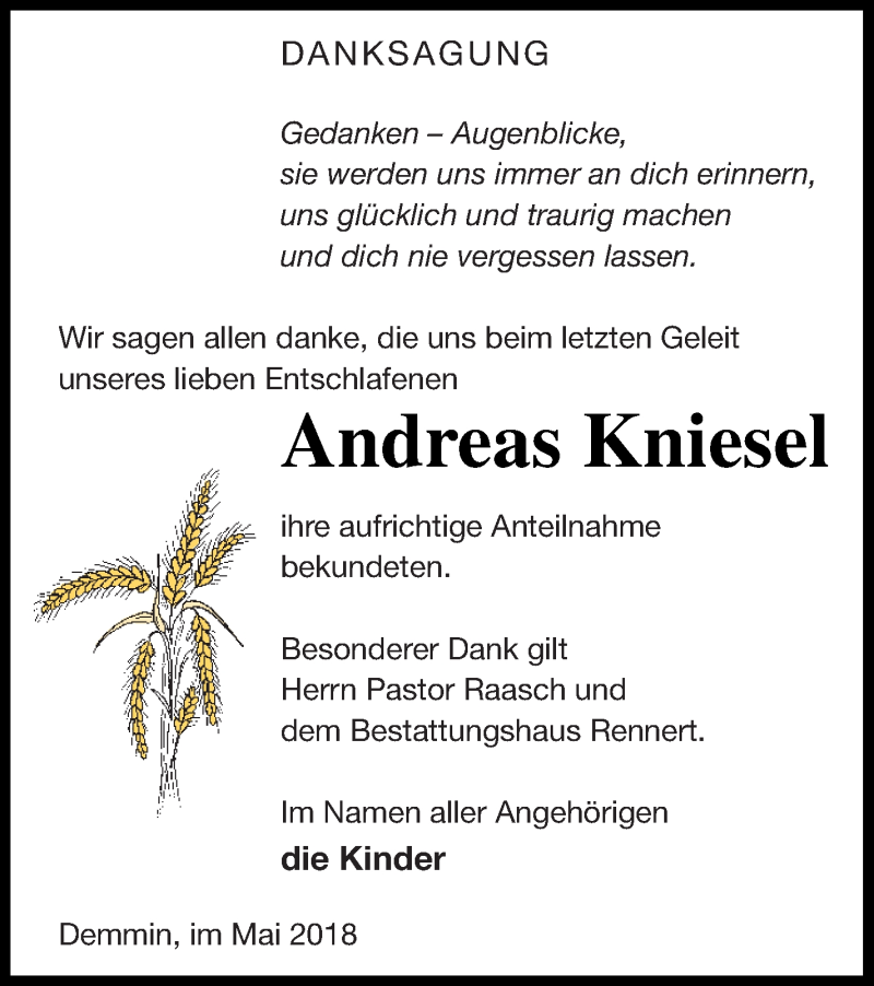  Traueranzeige für Andreas Kniesel vom 26.06.2018 aus Demminer Zeitung