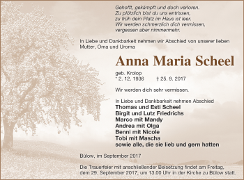 Traueranzeige von Anna Maria Scheel von Mecklenburger Schweiz