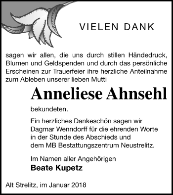 Traueranzeige von Anneliese Ahnsehl von Strelitzer Zeitung