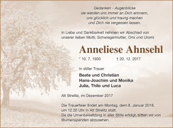 Traueranzeige von Anneliese Ahnsehl von Strelitzer Zeitung