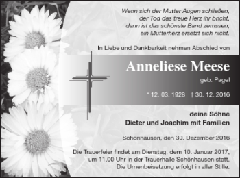 Traueranzeige von Anneliese Meere von Strelitzer Zeitung