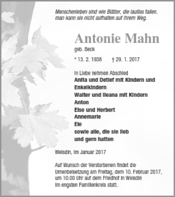 Traueranzeige von Antonie Mahn von Strelitzer Zeitung