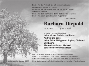 Traueranzeige von Barbara Diepold von Müritz-Zeitung