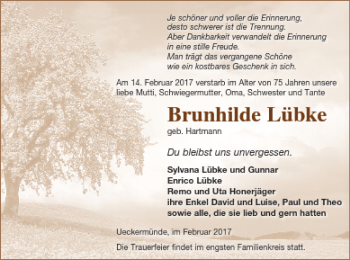 Traueranzeige von Brunhilde Lübke von Haff-Zeitung