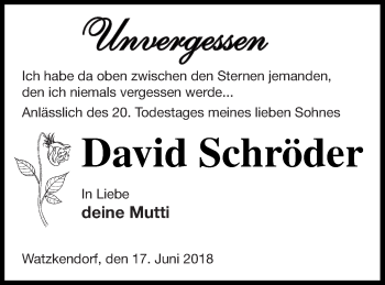 Traueranzeige von David Schröder von Strelitzer Zeitung