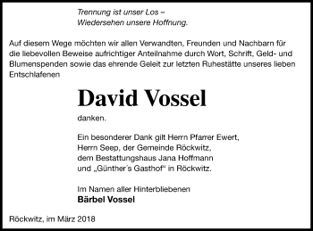 Traueranzeige von David Vossel von Neubrandenburger Zeitung