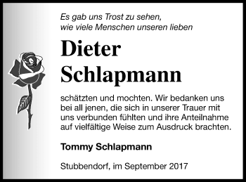 Traueranzeige von Dieter Schlapmann von Mecklenburger Schweiz