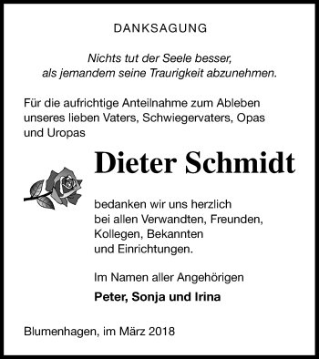 Traueranzeige von Dieter Schmidt von Pasewalker Zeitung