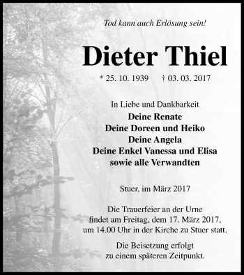 Traueranzeige von Dieter Thiel von Müritz-Zeitung