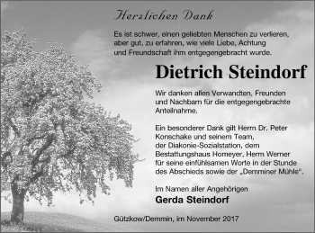 Traueranzeige von Dietrich Steindorf von Demminer Zeitung