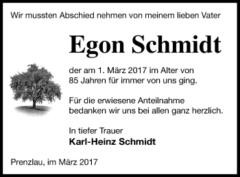 Traueranzeige von Egon Schmidt von Prenzlauer Zeitung