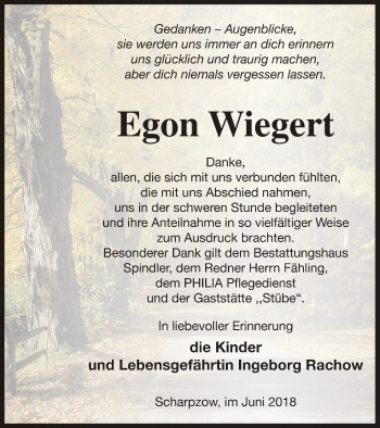 Traueranzeige von Egon Wiegert von Mecklenburger Schweiz