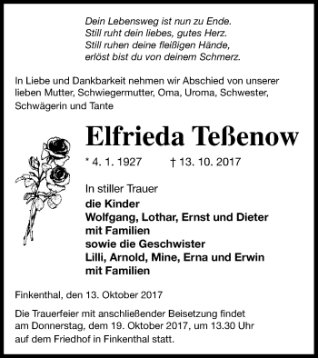 Traueranzeige von Elfrieda Teßenow von Mecklenburger Schweiz