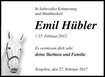 Traueranzeige von Emil Hübler von Haff-Zeitung