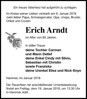 Traueranzeige von Erich Arndt von Haff-Zeitung