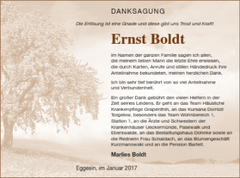 Traueranzeige von Ernst Boldt von Haff-Zeitung