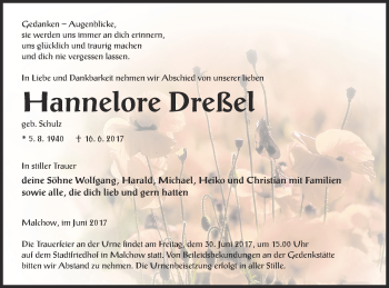 Traueranzeige von Hannelore Dreßel von Müritz-Zeitung