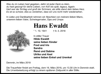 Traueranzeige von Hans Ewaldt von Demminer Zeitung