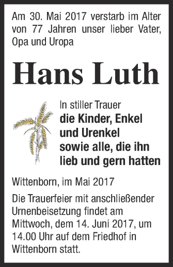 Traueranzeige von Hans Luth von Neubrandenburger Zeitung