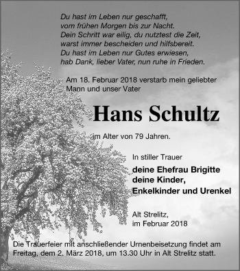 Traueranzeige von Hans Schultz von Strelitzer Zeitung