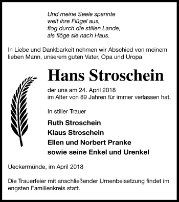 Traueranzeige von Hans Stroschein von Haff-Zeitung
