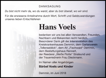 Traueranzeige von Hans Voels von Demminer Zeitung