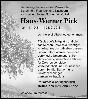 Traueranzeige von Hans-Werner Pick von Müritz-Zeitung