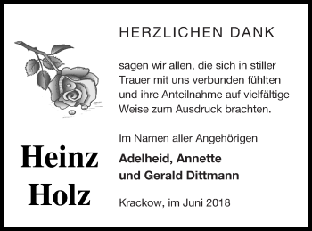 Traueranzeige von Heinz Holz von Pasewalker Zeitung