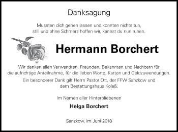 Traueranzeige von Hermann Borchert von Demminer Zeitung