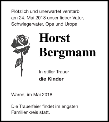 Traueranzeige von Horst Bergmann von Müritz-Zeitung