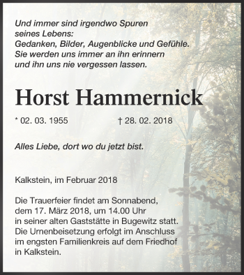 Traueranzeige von Horst Hammernick von Vorpommern Kurier