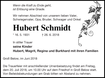 Traueranzeige von Hubert Schmidt von Neubrandenburger Zeitung